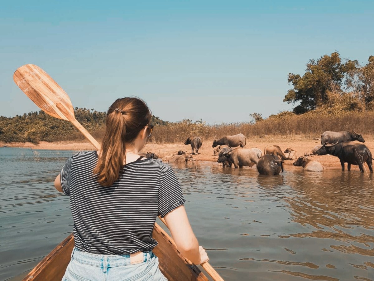 Laos: Boote, Büffelherden und&nbsp;Baguettes